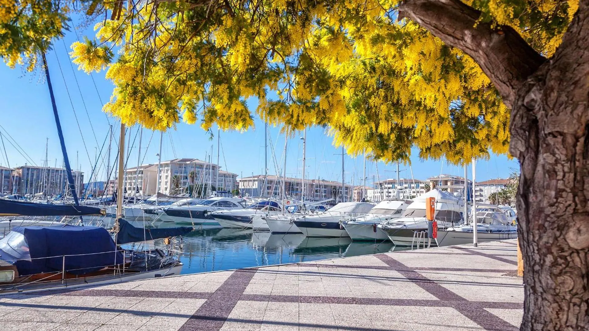 Select'Sohome - Appartement Pour 6 Personnes A Deux Pas Des Commerces Et De La Plage De La Faviere ! - Iloa-C03 Bormes-les-Mimosas